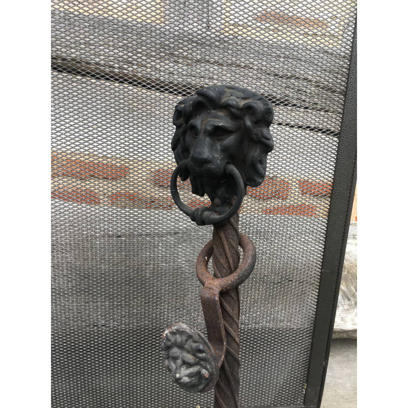 Pair of vintage lion heads Chenet and fire screen