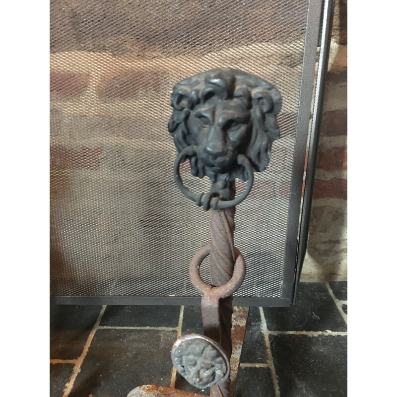 Pair of vintage lion heads Chenet and fire screen