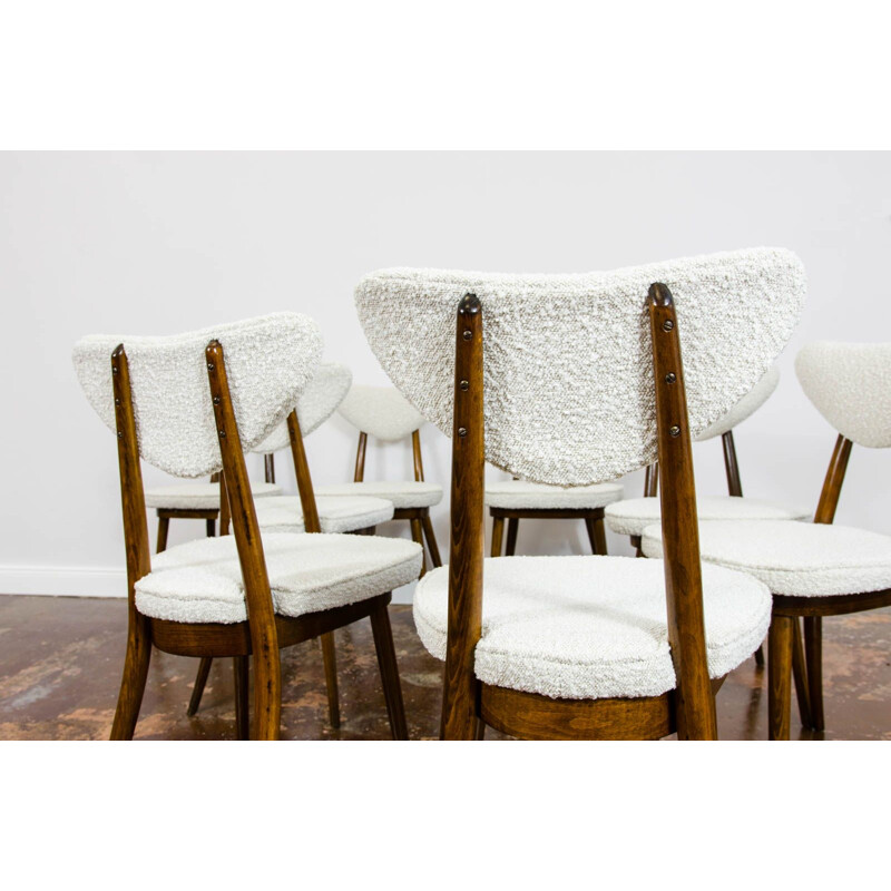 Lot of 8 vintage chairs by H & J Kurmanowicz, Poland 1950