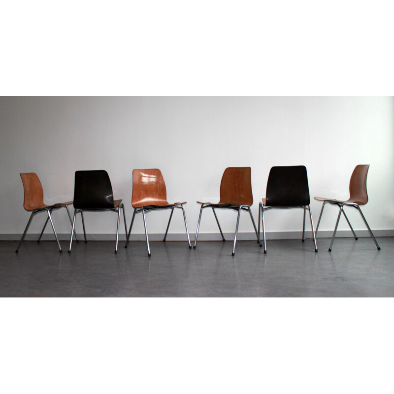 Lot de 6 chaises vintage Pagholz bicolores par Adam Stegner 1960