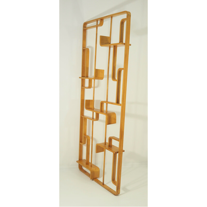 Vintage  room divider by Drevopodnik Holesov Ludvik Volak Czech Republic 1960