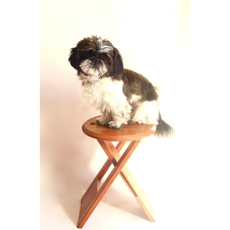 Pair of vintage Bankotte wooden Stools by Butzke 1990s