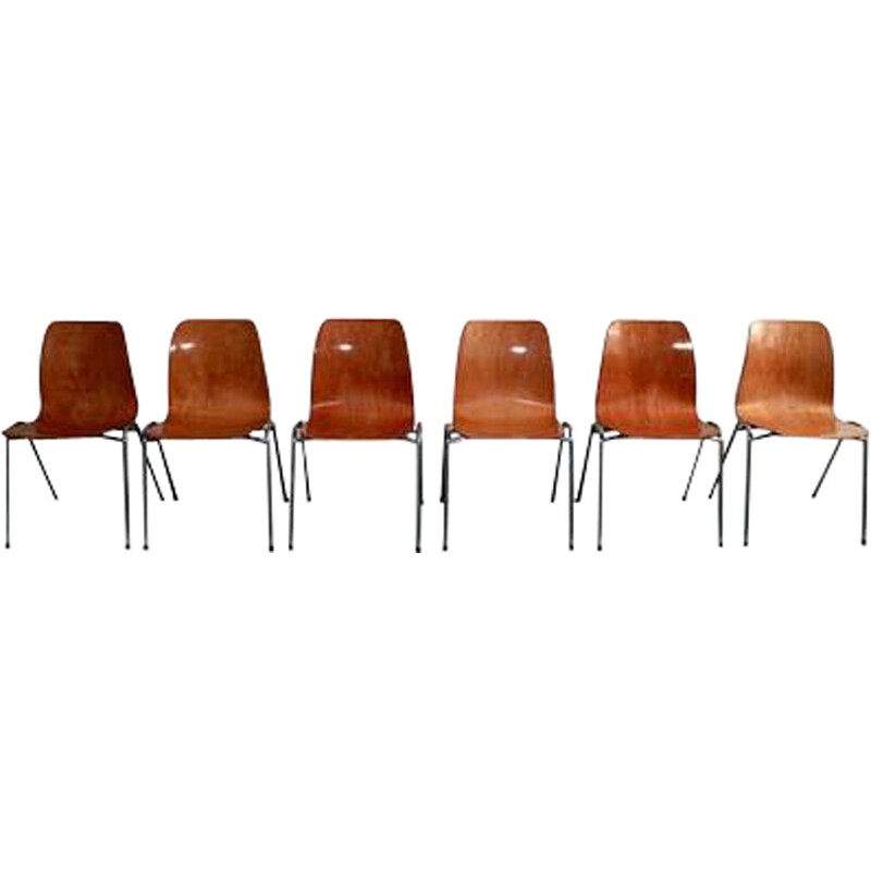 Set of 6 vintage Pagholz bicolor chairs by Adam Stegner 1960s