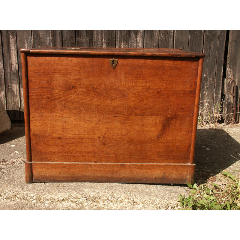 Vintage oak trunk