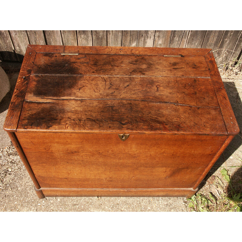 Vintage oak trunk