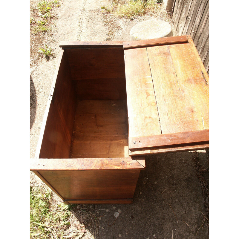 Vintage oak trunk