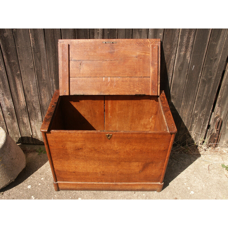 Vintage oak trunk