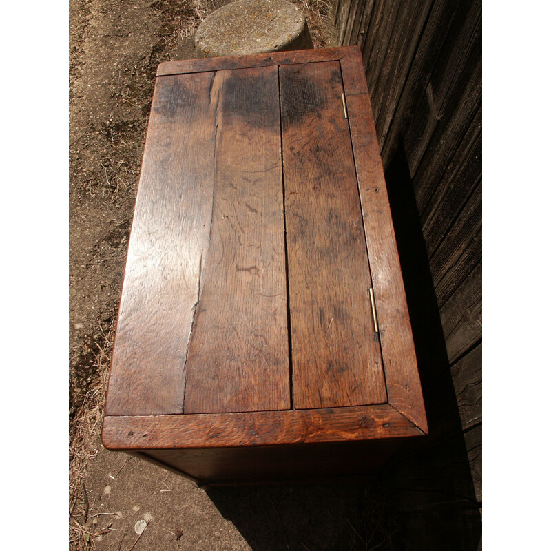 Vintage oak trunk