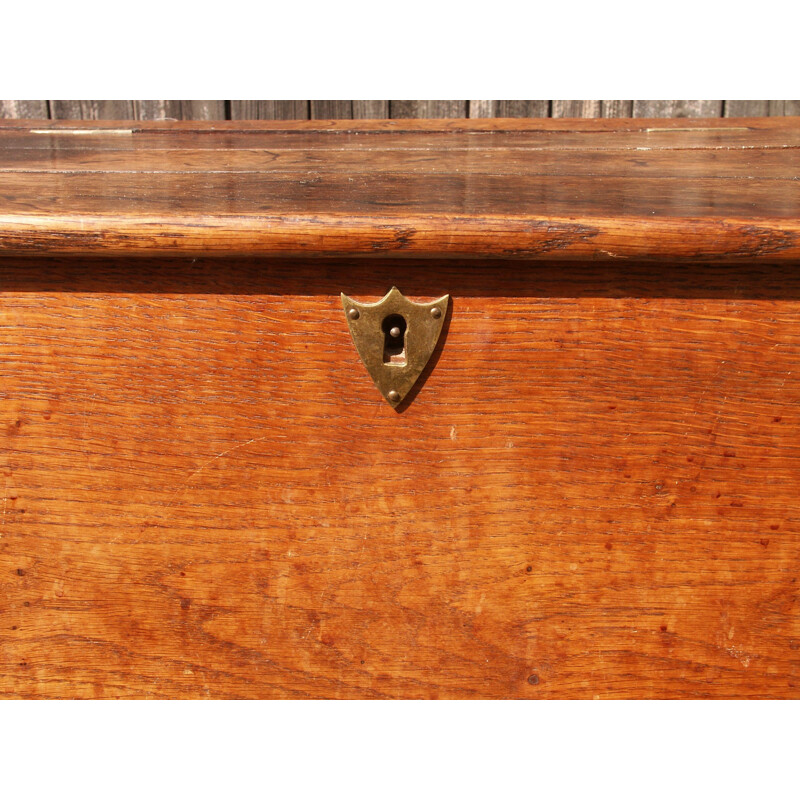 Vintage oak trunk