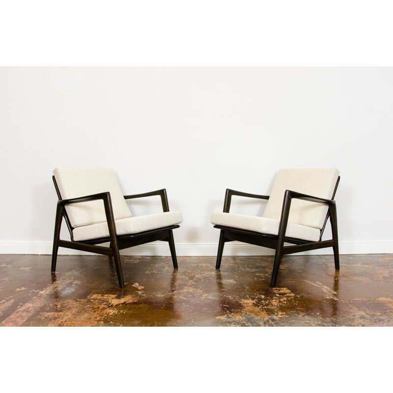 Pair of vintage armchairs type 300-139 by SFM 1960