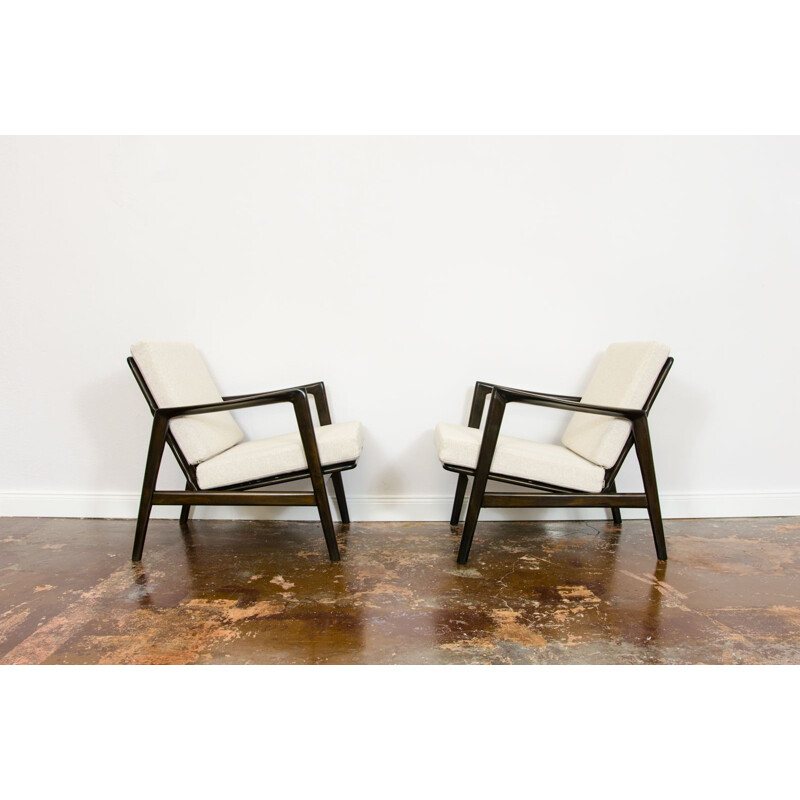 Pair of vintage armchairs type 300-139 by SFM 1960