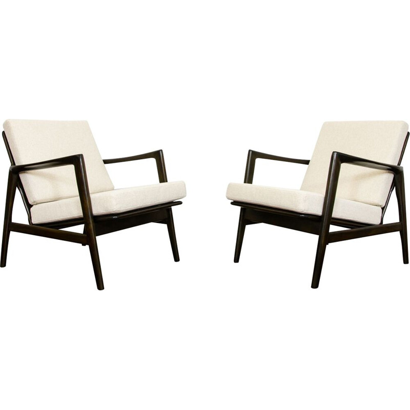 Pair of vintage armchairs type 300-139 by SFM 1960