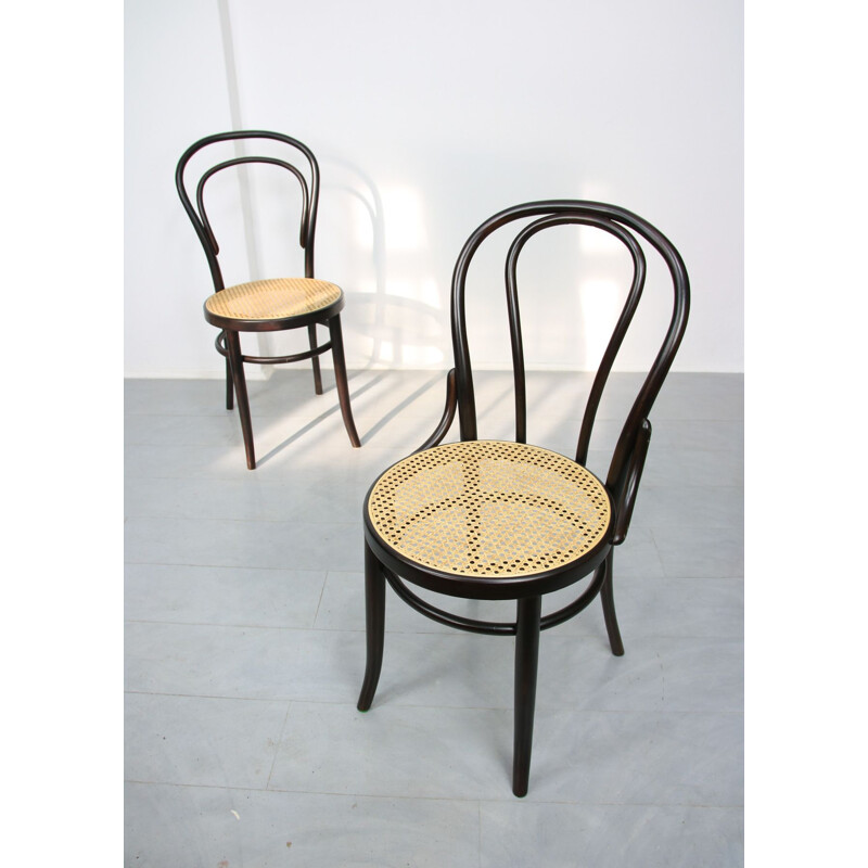 Paire de chaises vintage marron foncé de Michael Thonet