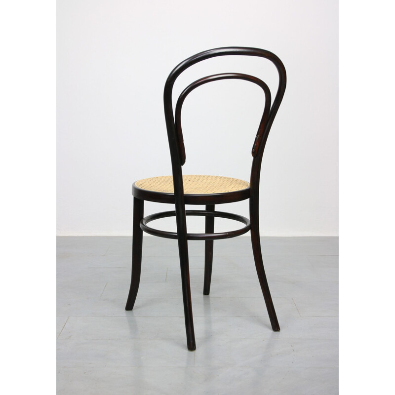 Pair of vintage Dark Brown Chairs by Michael Thonet