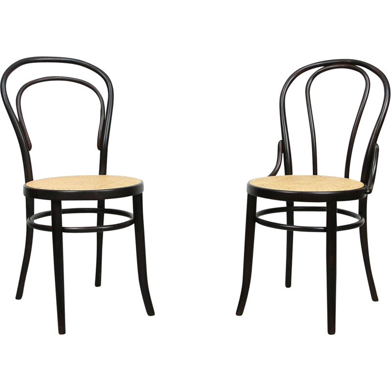 Paire de chaises vintage marron foncé de Michael Thonet