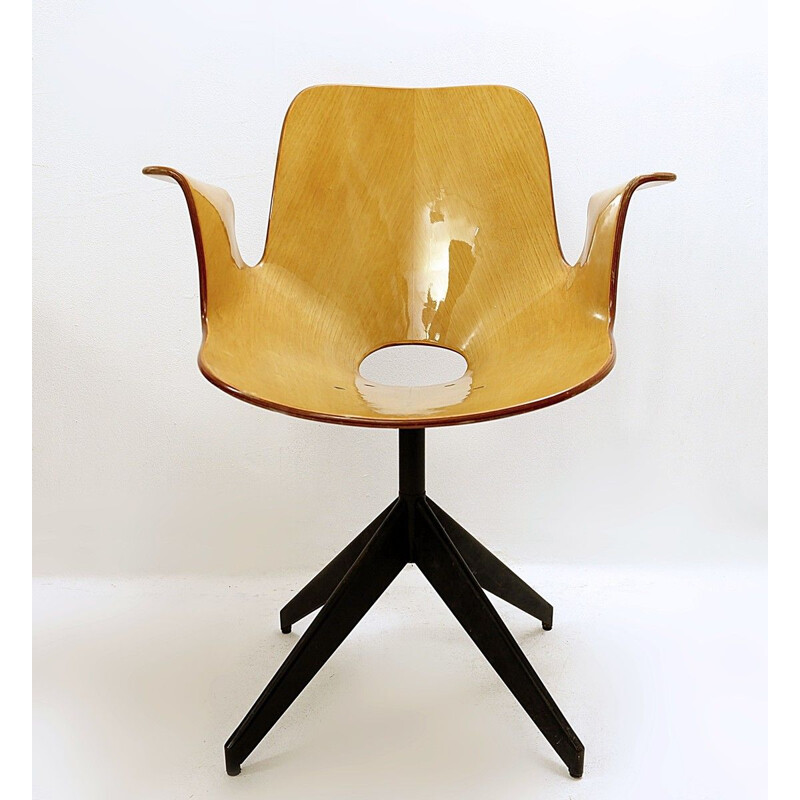 Medea" vintage swivel chair by Vittorio Nobili for Fratelli Tagliabue, 1950