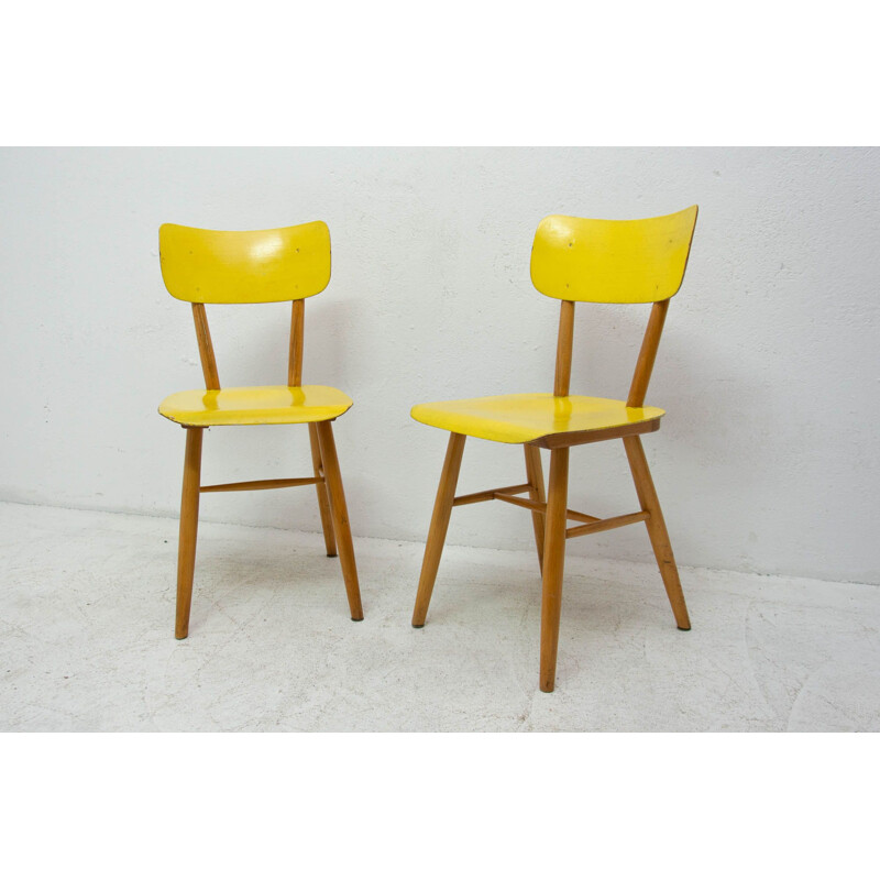 Pair of vintage beech chairs for Ton, Czechoslovakia 1960