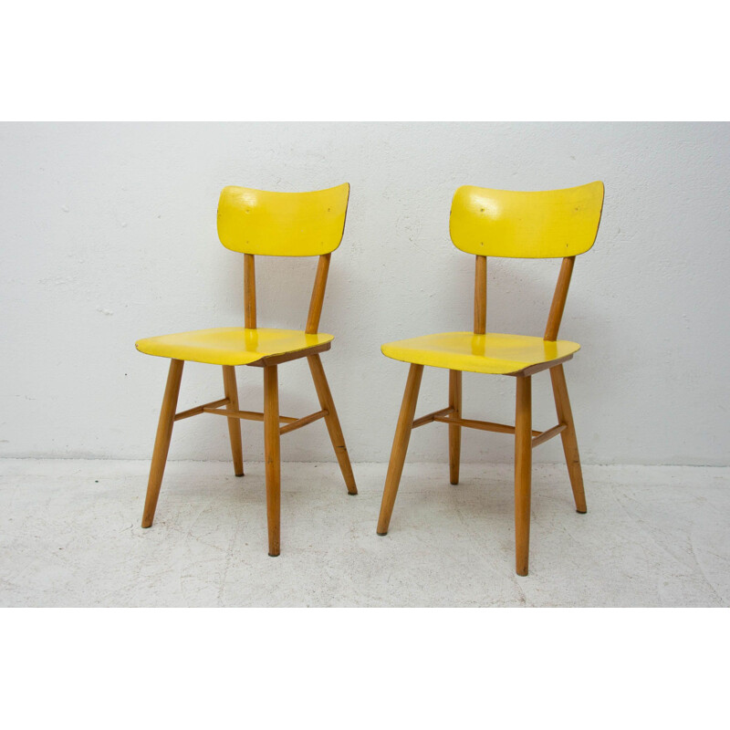 Pair of vintage beech chairs for Ton, Czechoslovakia 1960