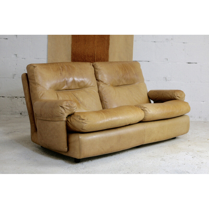 Sofá de cuero vintage de Michel Ducaroy de Ligne Roset modelo Albany 1970