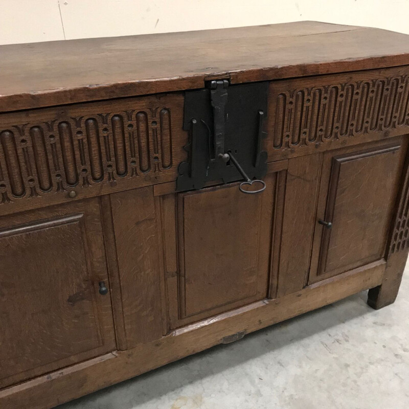 Vintage Renaissance oak chest