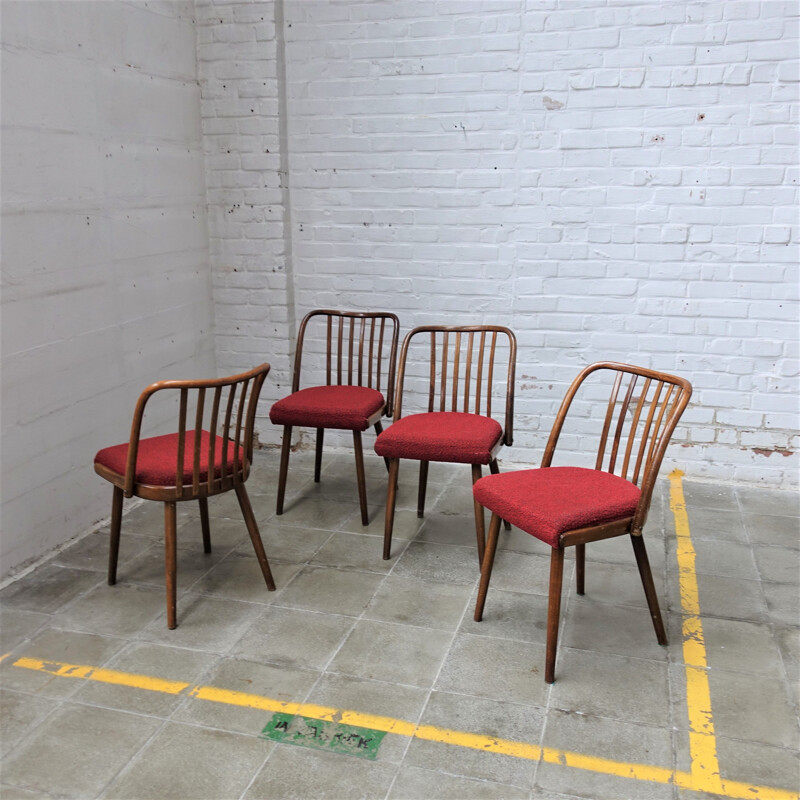 Set of 4 vintage Antonin Suman chair for Tom, Czechoslovakia 1960s