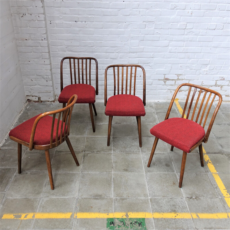 Set of 4 vintage Antonin Suman chair for Tom, Czechoslovakia 1960s