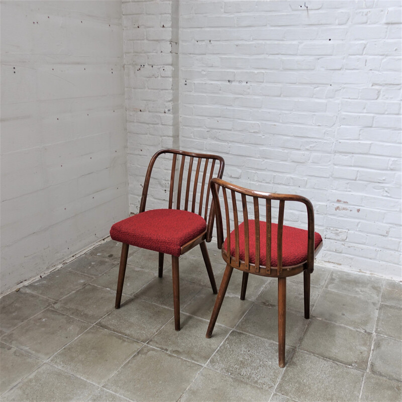 Set of 4 vintage Antonin Suman chair for Tom, Czechoslovakia 1960s