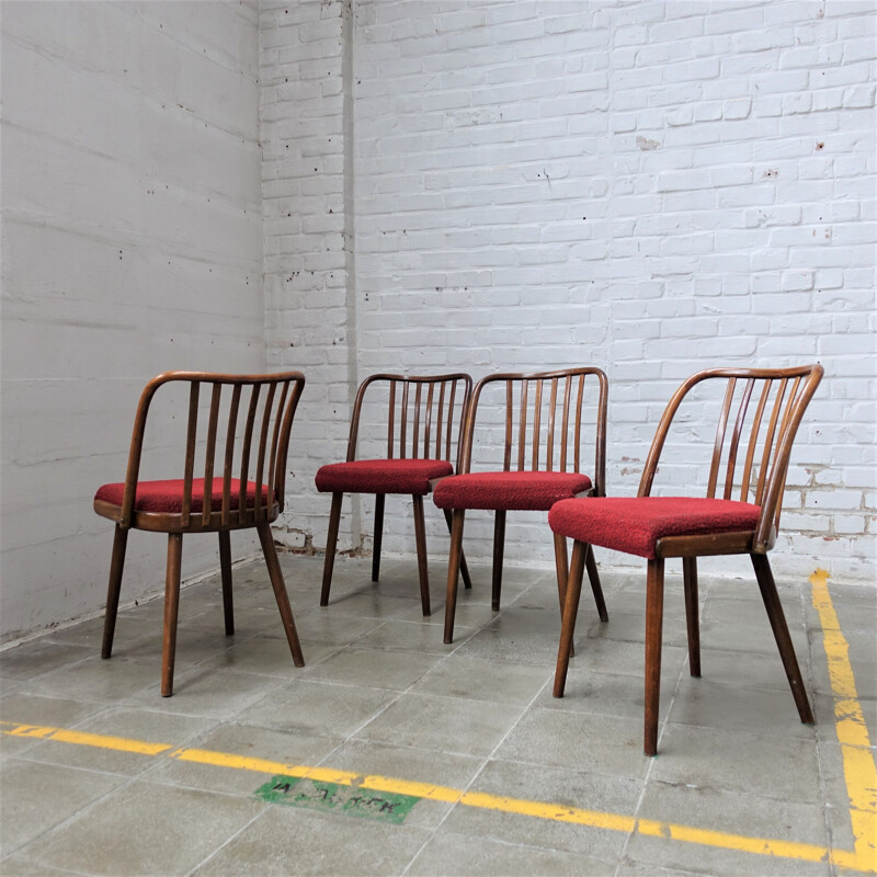 Set of 4 vintage Antonin Suman chair for Tom, Czechoslovakia 1960s