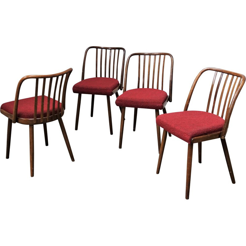 Set of 4 vintage Antonin Suman chair for Tom, Czechoslovakia 1960s