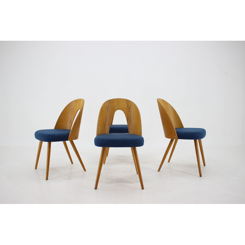 Lot de 4 chaises vintage de Antonin Suman, Tchécoslovaquie 1960