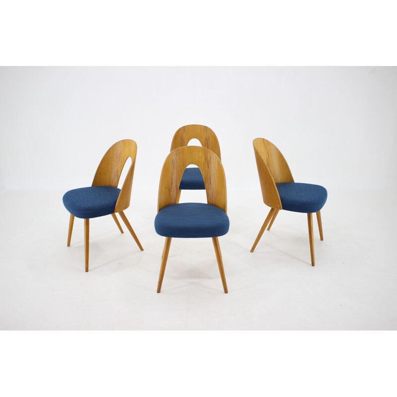 Lot of 4 vintage chairs by Antonin Suman, Czechoslovakia 1960