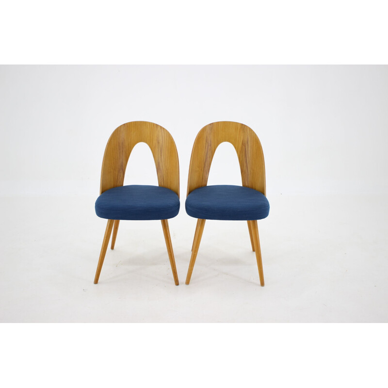 Lot de 4 chaises vintage de Antonin Suman, Tchécoslovaquie 1960