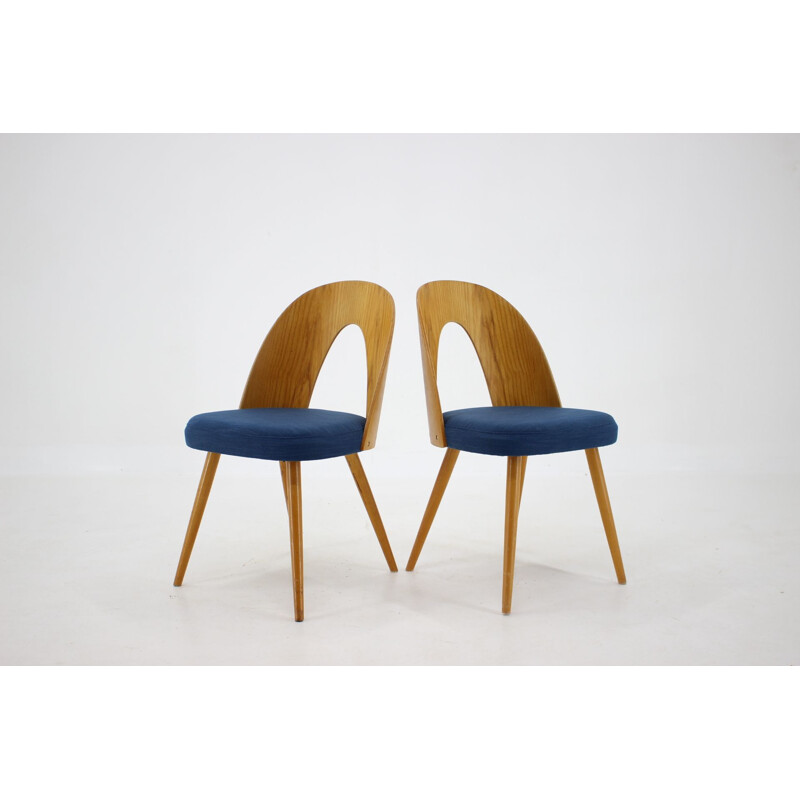 Lot de 4 chaises vintage de Antonin Suman, Tchécoslovaquie 1960