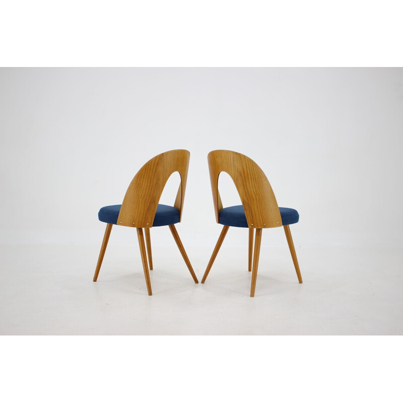 Lot of 4 vintage chairs by Antonin Suman, Czechoslovakia 1960