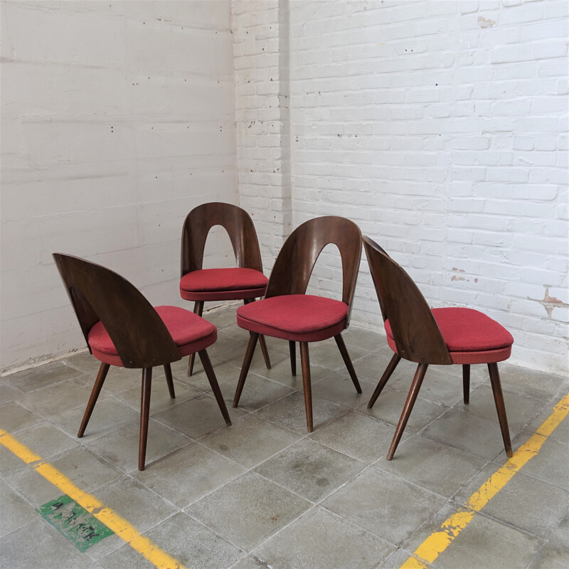Set of 4 vintage Antonin Suman lollipop chairs 1960s
