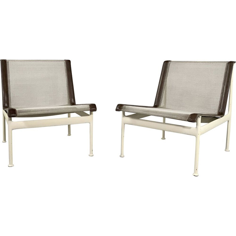 Pair of vintage Garden Lounge Chairs by Richard Schultz for Knoll 1960s