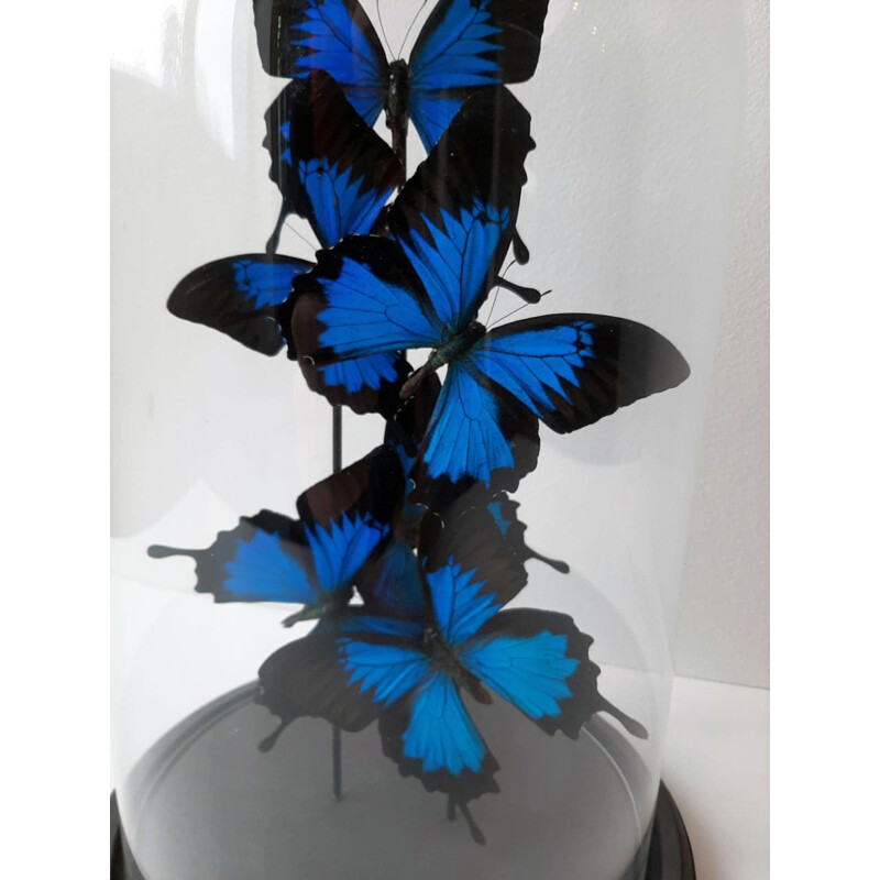 Envolée de papillons vintage sous globe