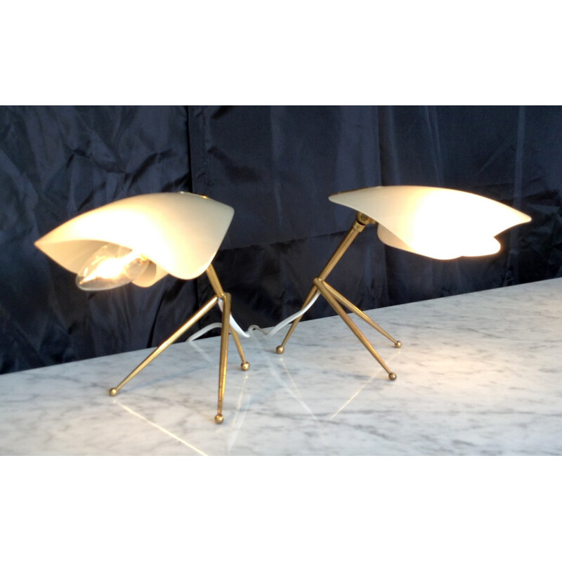 Pair of Italian lamps - 50s