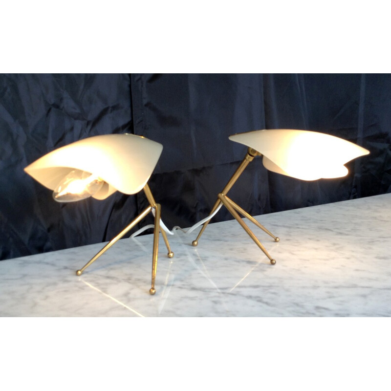 Paire de lampes Italiennes - années 50
