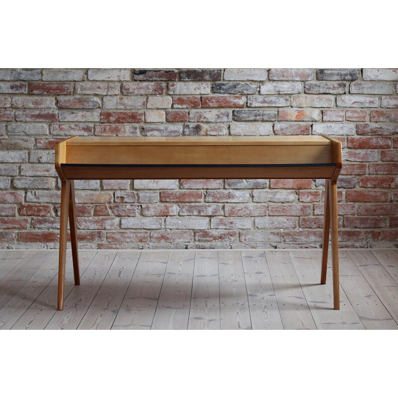 Vintage Helmut Magg Desk for WK Möbel, Germany 1950s