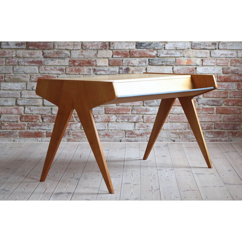 Vintage Helmut Magg Desk for WK Möbel, Germany 1950s