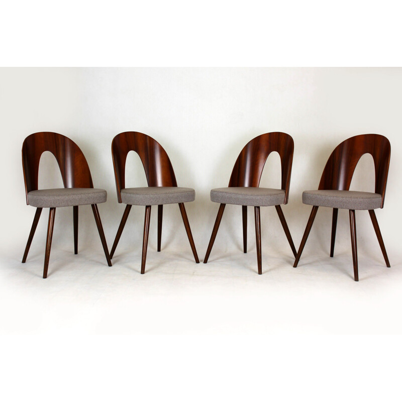 Pareja de sillas vintage de Antonin Suman para Mier 1960