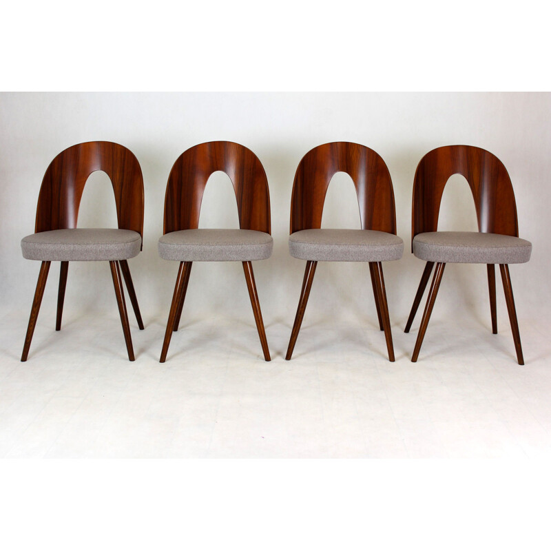 Paire de chaises vintage d'Antonin Suman pour Mier 1960
