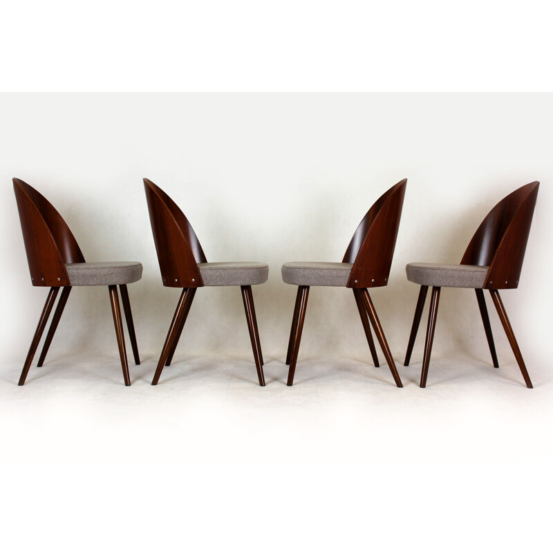 Pair of vintage chairs by Antonin Suman for Mier 1960