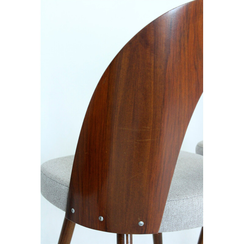 Ein Paar Vintage-Stühle von Antonin Suman für Mier 1960