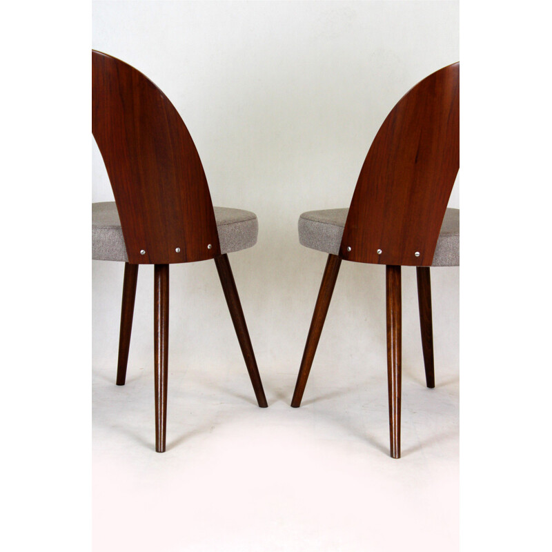 Paire de chaises vintage d'Antonin Suman pour Mier 1960