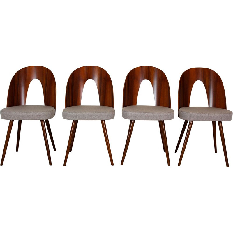 Pair of vintage chairs by Antonin Suman for Mier 1960