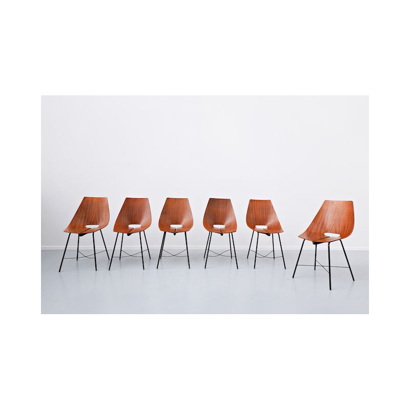 Set of 6 vintage chairs by Carlo Ratti 1960