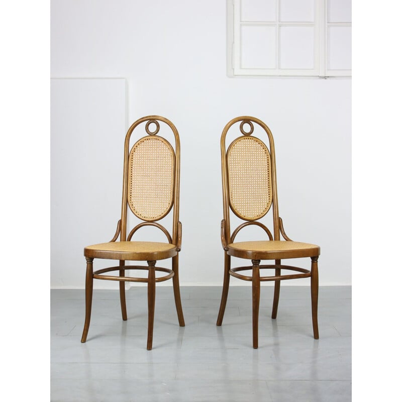 Paire de chaises vintage Thonet 207R