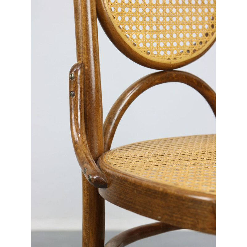 Paire de chaises vintage Thonet 207R